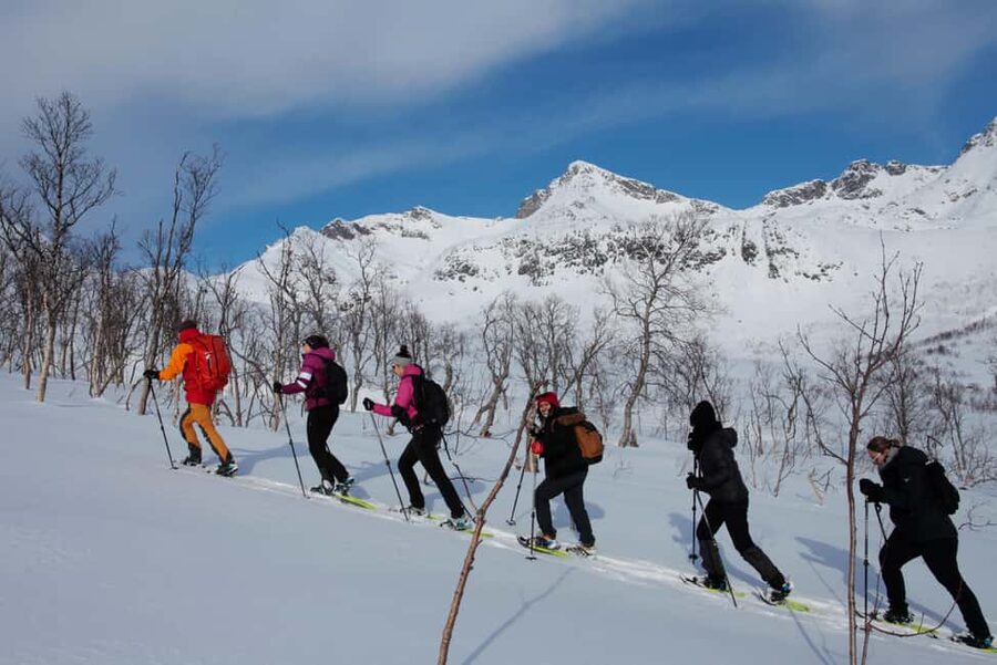 Tromsø: Guided snowshoe hill hike - Who this tour suits, and who should choose another plan