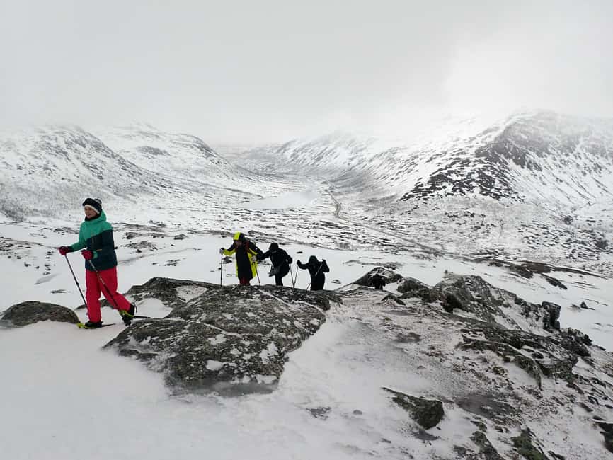 Tromsø: Guided snowshoe hill hike - Meet your guide and learn snowshoes the right way