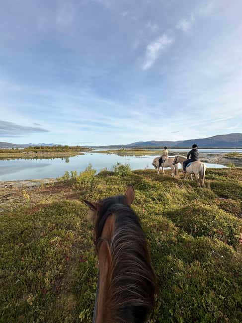 Tromsø: Horseback Riding Tour - Key highlights you will actually feel on the ride