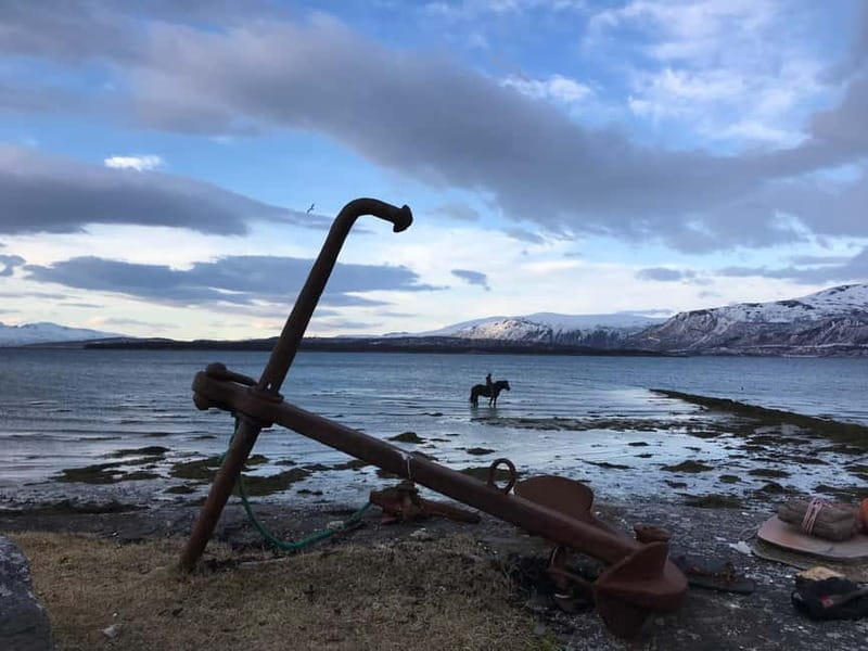 Tromsø: Horseback Riding Tour - Kvaløya horseback riding, close enough for a day that still feels special