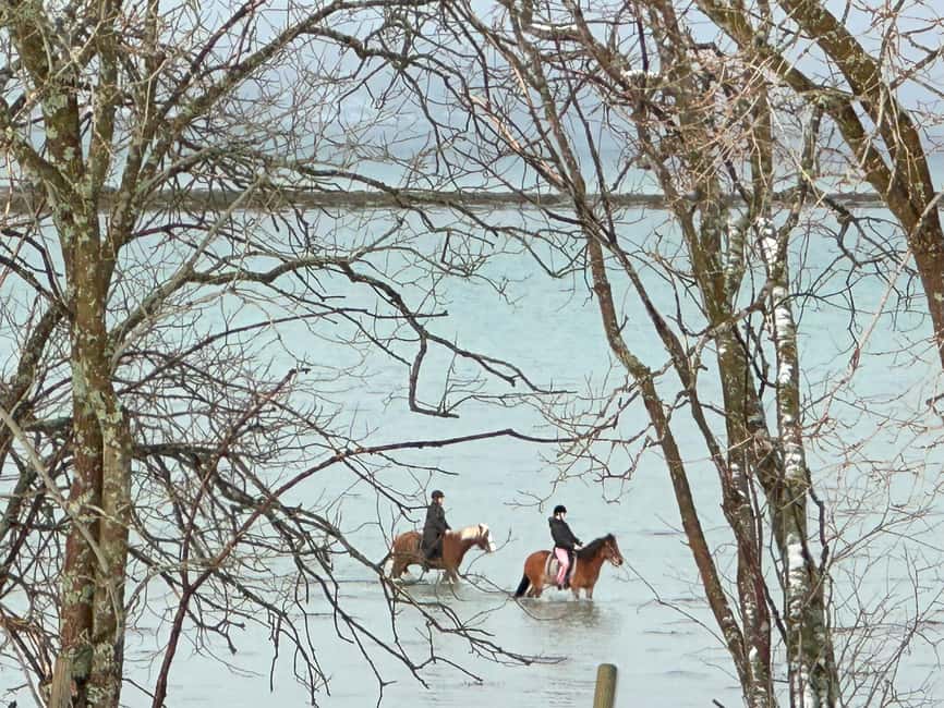 Tromsø: Horseback Riding Tour - From Straumsvegen to Mari Sletta Farm: what happens in each 150-minute block