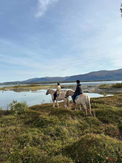 Horseback Riding Tour