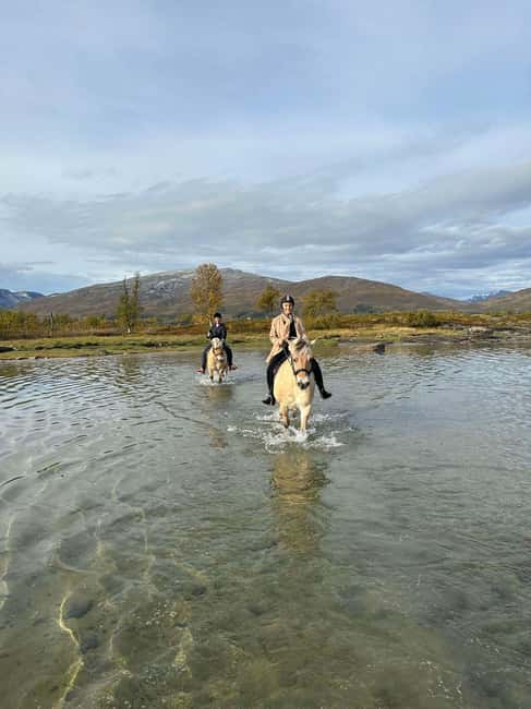 Tromsø: Horseback Riding Tour - Wildlife moments: moose, eagles, and seals where you can actually see them