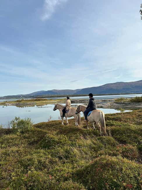 Tromsø: Horseback Riding Tour - Your horses: Lyngenhorse, Fjordhorse, or Dølahorse (and why the breed lesson is useful)