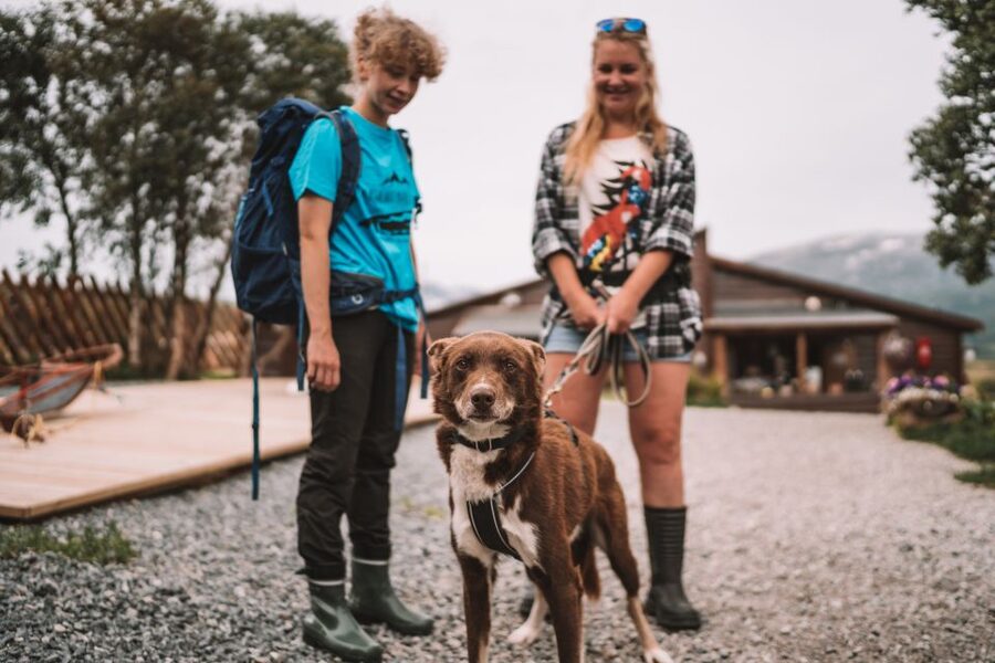 Tromsø: Husky Hike and Puppy Visit with Traditional Lunch - Guide notes that make the difference: names, humor, and safety support