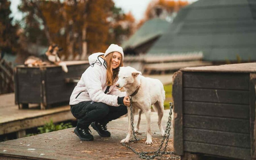 Tromsø: Husky Meet and Greet with Homemade Chocolate Cake - Cuddle and Photo Time, Plus How to Not Feel Rushed