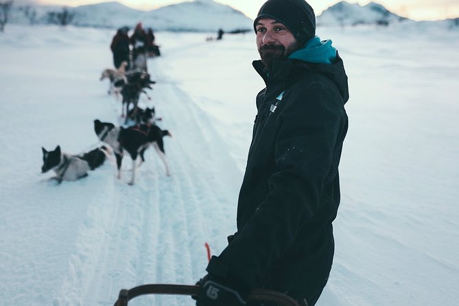 Tromso Husky Self-Drive Sledding with Cake and Drink in Lavvu - The 70 to 80 Minute Arctic Sled Ride: Speed, Hills, and Scenery