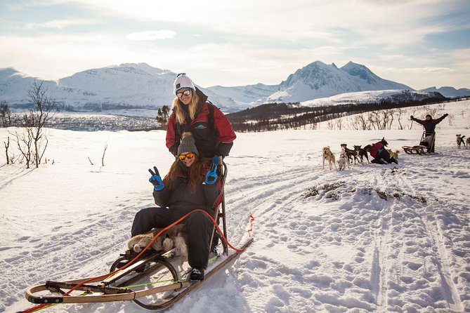 Tromso Husky Self-Drive Sledding with Cake and Drink in Lavvu - Price and Logistics: What You Pay For, and What You Get Back