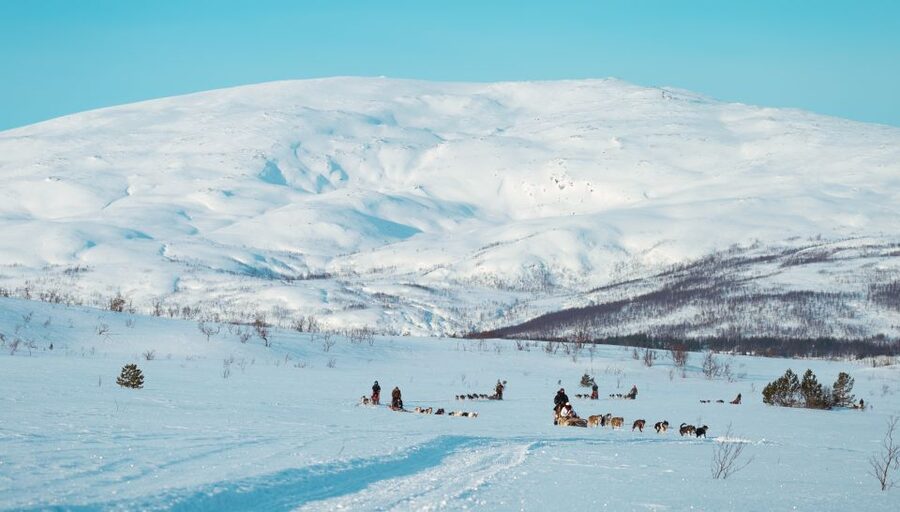 Tromsø: Husky Sled Self-Drive with Traditional Lunch - The safety brief and mushing lesson that actually helps