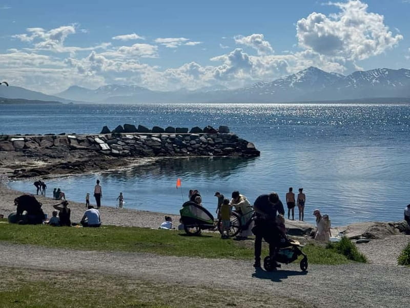 Tromsø: Island Tour with Tromsø Accessible Tours - A 4-hour Tromsø island loop that fits real schedules