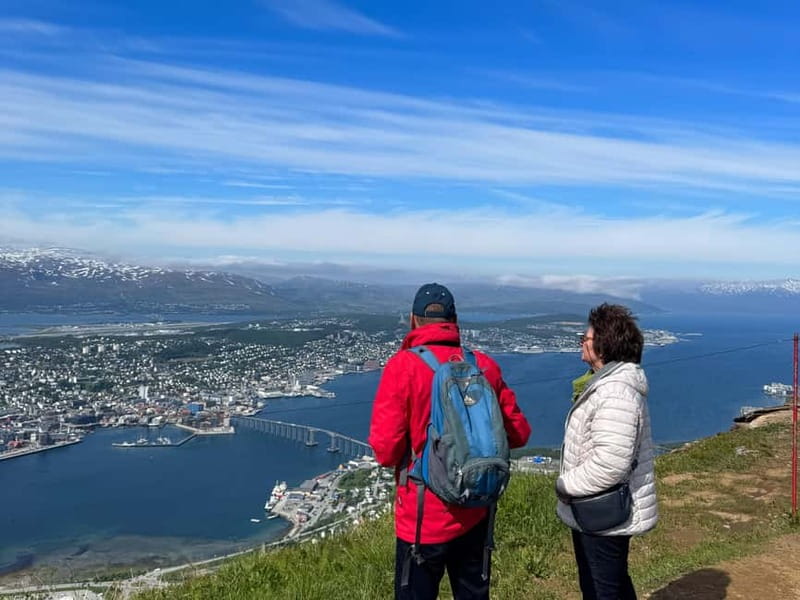 Tromsø: Island Tour with Tromsø Accessible Tours - Tromsø University Museum, your 1-hour anchor for island history and science