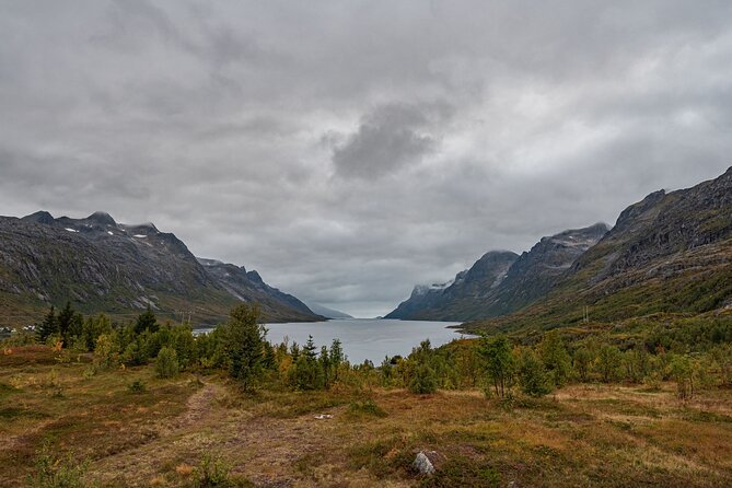 Tromsø: Kvaløya & Sommarøy Guided Fjord Tour with Lunch - Guides You Might Meet: What They Add To The Day