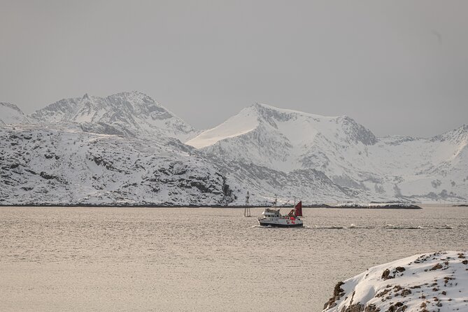 Tromsø: Kvaløya & Sommarøy Guided Fjord Tour with Lunch - Price And Value: What $181.50 Buys You In Real Life