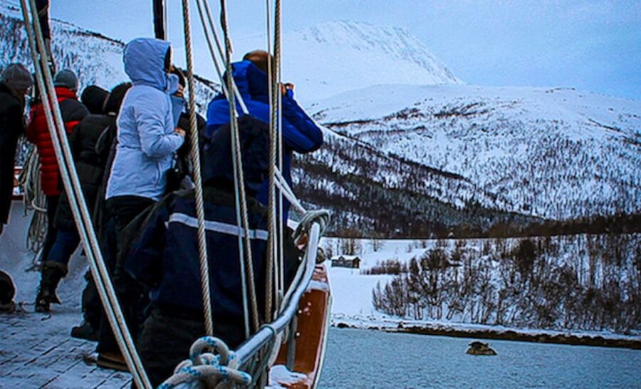 Tromsø: Luxury Polar Fjord Cruise w/ Hot Tub & Polar Plunge - Who This Cruise Suits Best, and Who Might Skip It
