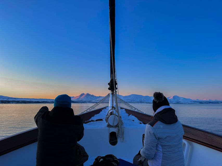 Tromsø: Luxury Polar Fjord Cruise w/ Hot Tub & Polar Plunge - Meeting at the Marina: What to Do Before You Step Aboard