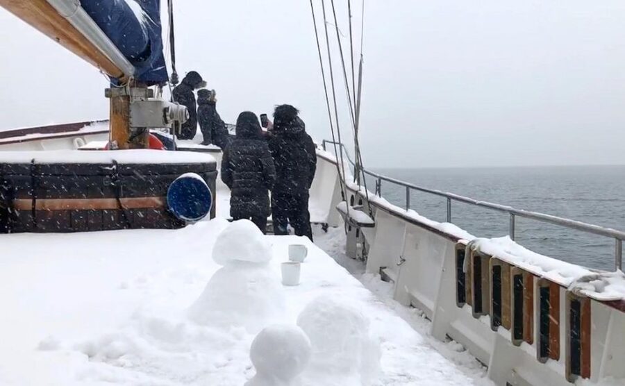 Tromsø: Luxury Polar Fjord Cruise w/ Hot Tub & Polar Plunge - Hot Tub and Polar Plunge: Worth the Upgrade, If You Choose Wisely