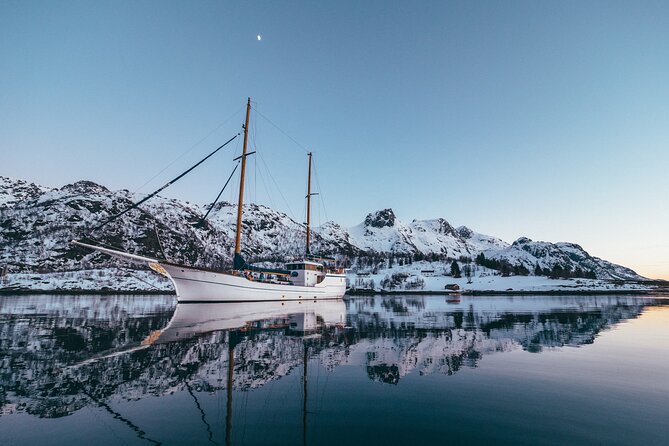 Tromso Luxury Sailing Yacht Polar Fjord Cruise with Lunch - Lunch onboard: reindeer soup that actually tastes like effort
