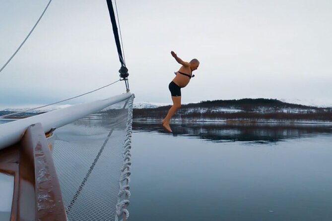 Tromso Luxury Sailing Yacht Polar Fjord Cruise with Lunch - Small-group sailing: questions, pace, and a friendlier vibe