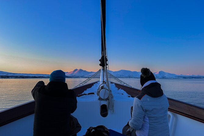 Tromso Luxury Sailing Yacht Polar Fjord Cruise with Lunch - Sailing Balsfjorden: the part that makes the price feel worth it
