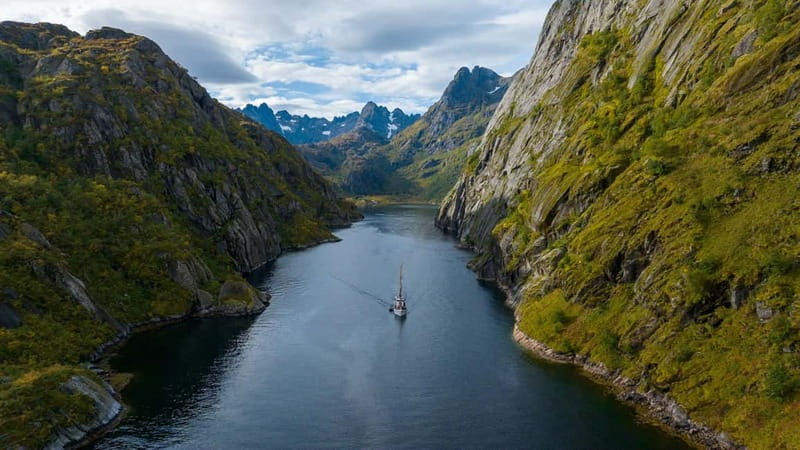 Tromsø: Luxury Summer Fjord Cruise with Lunch & Hot Tub - Wildlife spotting that actually helps you see something