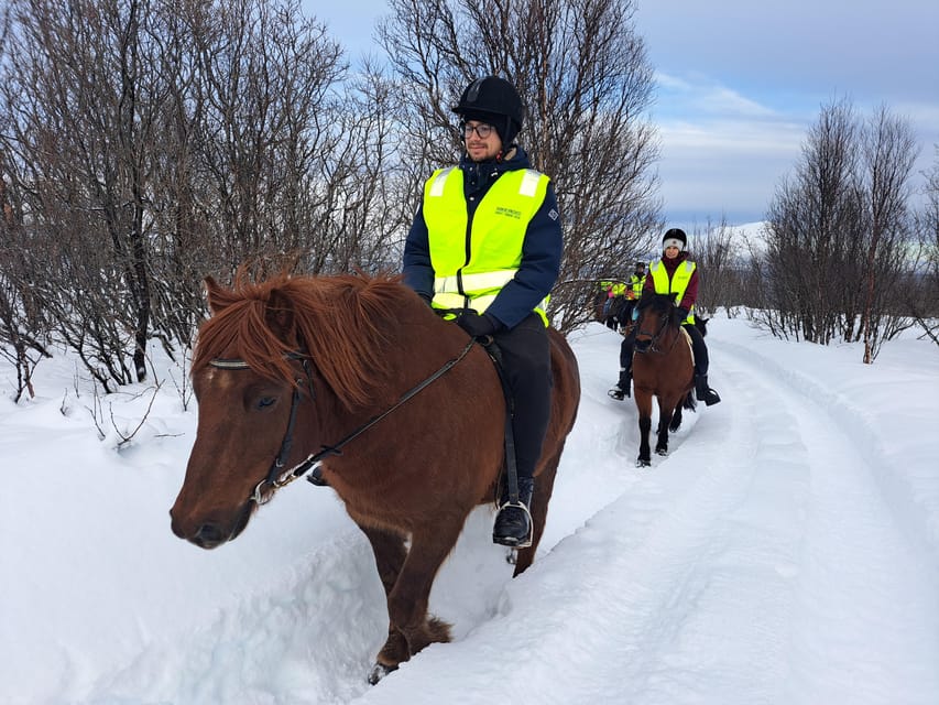 Tromsø: Lyngen Horse Winter Riding Experience - Key Highlights I’d Prioritize