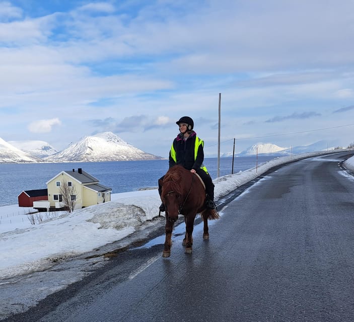 Tromsø: Lyngen Horse Winter Riding Experience - Entering Tromsø Lyngshest and Meeting the Lyngen Herd