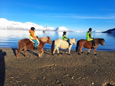 Lyngen Horse Winter Riding Experience