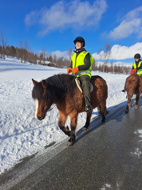 Tromsø: Lyngen Horse Winter Riding Experience - Local Storytelling Along the Route, Including World War II