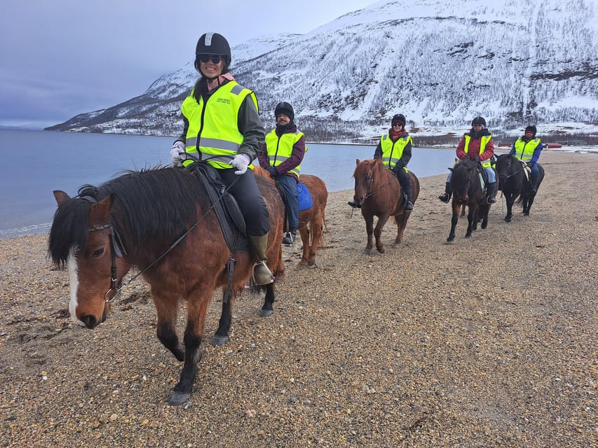 Tromsø: Lyngen Horse Winter Riding Experience - Refuel Moment: Snack, Warm Drink, and Local Lefse