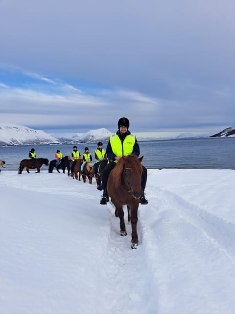 Tromsø: Lyngen Horse Winter Riding Experience - Who This Horse Ride Is Best For, and Who Should Skip It