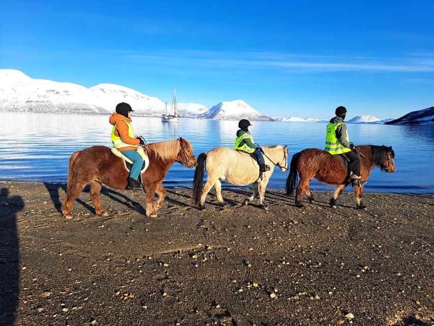 Tromsø: Lyngen Horse Winter Riding Experience - Grooming, Saddling Up, and Winter Safety That Keeps It Simple