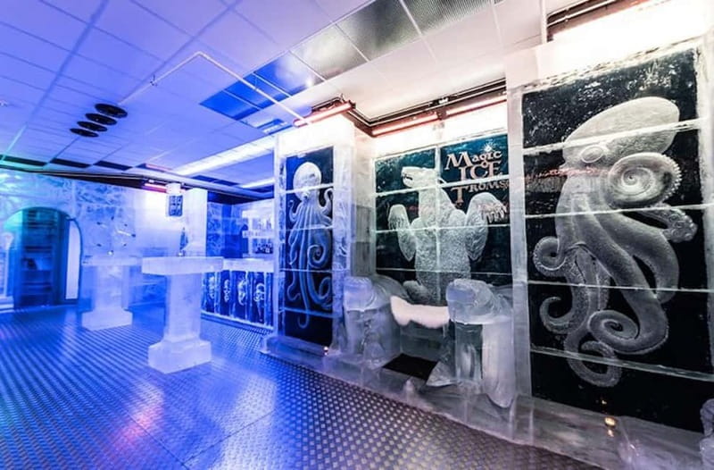 Tromsø: Magic Ice Bar Entrance and Welcome Drink - Who should book this ice bar experience, and who might skip