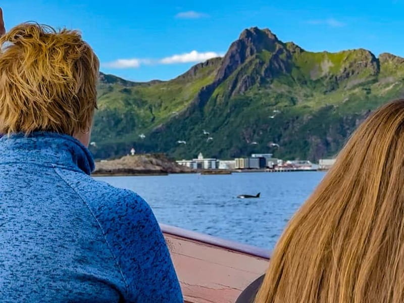 Tromsø: Midnight Sun Evening Cruise with Hot Tub - The route: Tromsøya, Kvalsundet, and why Gåsvær is the key