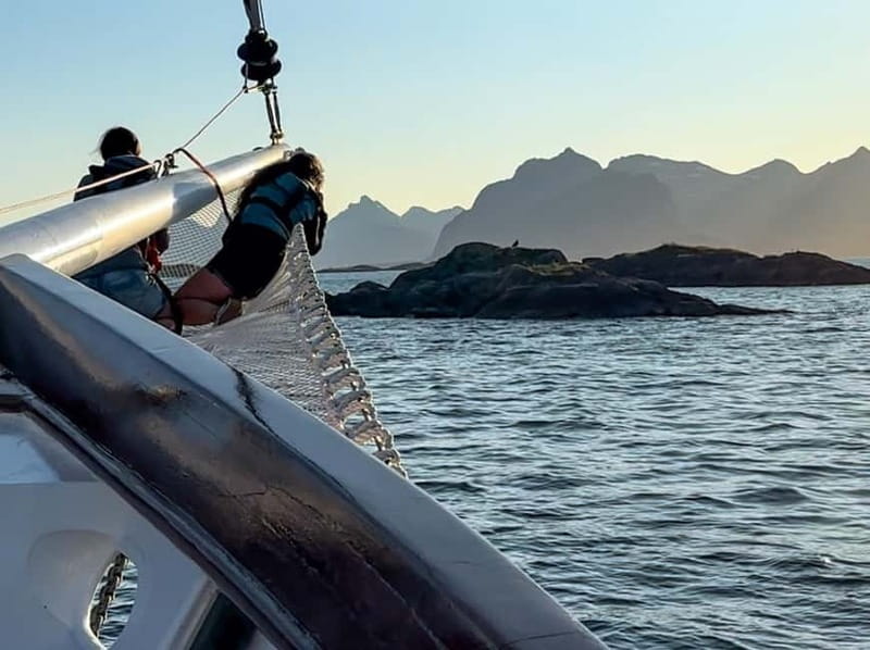 Tromsø: Midnight Sun Evening Cruise with Hot Tub - Wildlife spotting that feels real, not staged