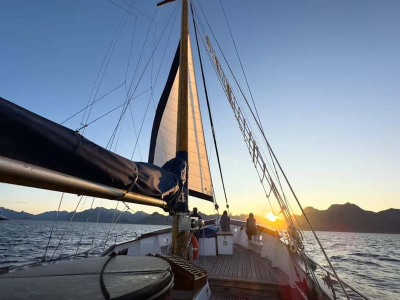 Tromsø: Midnight Sun Evening Cruise with Hot Tub - The fish soup moment: traditional, warm, and practical