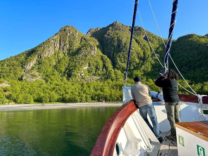 Tromsø: Midnight Sun Evening Cruise with Hot Tub - Hot tub upgrade vs polar plunge: choosing your style