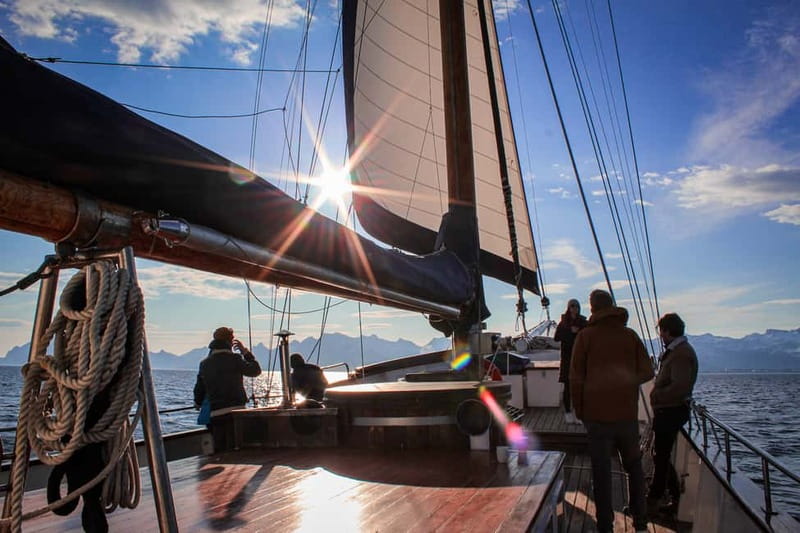 Tromsø: Midnight Sun Evening Cruise with Hot Tub - Weather reality check: what to pack for Arctic evenings