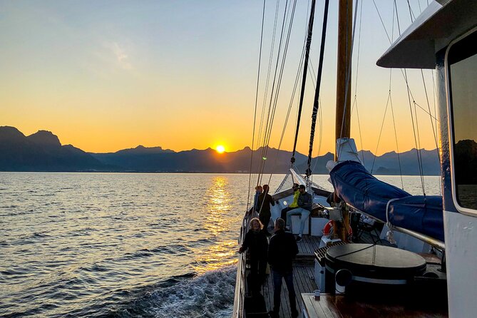 Tromsø Midnight Sun Evening Cruise with Hot Tub and Polar Plunge - Key Things You Will Love About This Midnight Sun Cruise