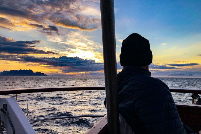 Tromsø Midnight Sun Evening Cruise with Hot Tub and Polar Plunge - Food and Drinks That Actually Make It an Evening