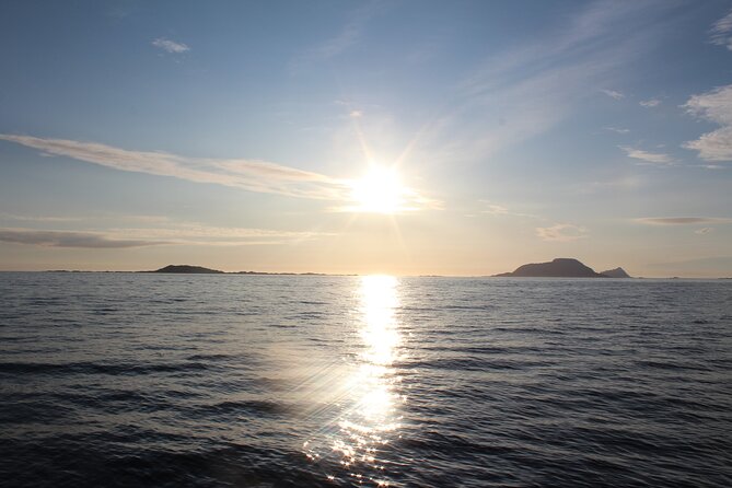 Tromsø Midnight Sun Evening Cruise with Hot Tub and Polar Plunge - Small Group Comfort and the MV Stella Oceana Factor