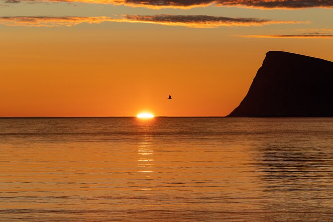 Tromsø Midnight Sun Evening Cruise with Hot Tub and Polar Plunge - The Optional Polar Plunge and Private Hot Tub Time