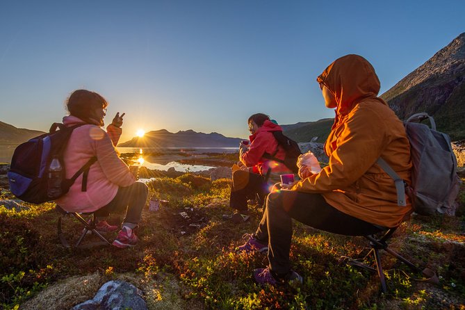 Tromsø: Midnight Sun Hike with Wandering Owl - What the Hike Feels Like: Pace, Wildlife Chances, and Berry Time