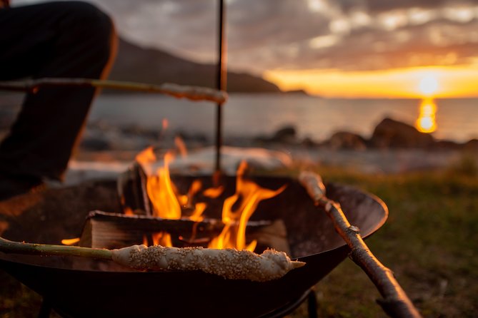 Tromsø: Midnight Sun with Campfire with Wandering Owl - Group Size, Guides, and the Coziest Part of the Whole Plan