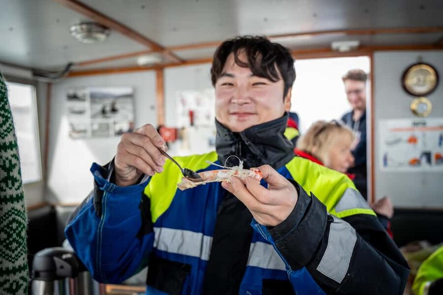 Tromsø: Nocturnal cod fishing with meal. - Price and Value: Is $207 Per Person Fair?