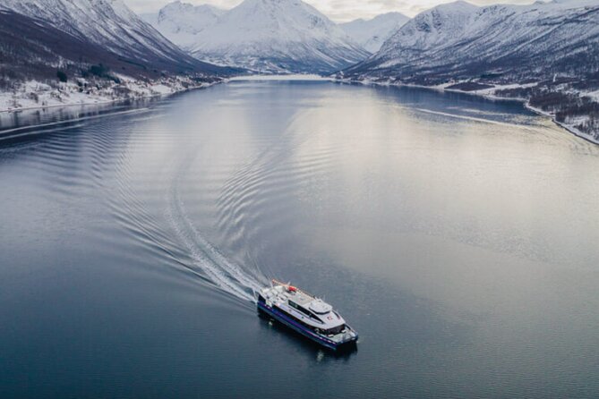 Tromsø, Northern Lights and Wilderness Evening Catamaran Cruise - What your evening likely looks like, from Alti Nerstranda to the return trip