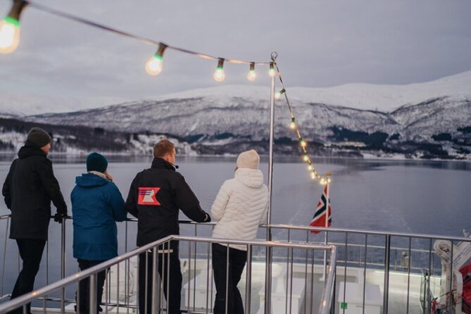 Tromsø, Northern Lights and Wilderness Evening Catamaran Cruise - Price and value: is $158.20 a fair deal for 2.5 hours?