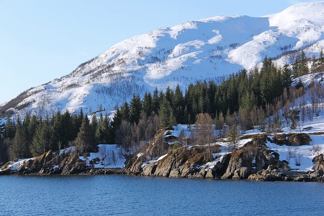Tromsø, Northern Lights and Wilderness Evening Catamaran Cruise - MS Rygerdronningen comfort: warm cabin, panoramic windows, and realistic deck time
