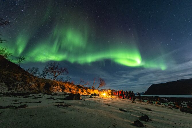 Tromsø: Northern Lights by Minibus - Free Photos and Warm Dinner - Key Highlights That Matter