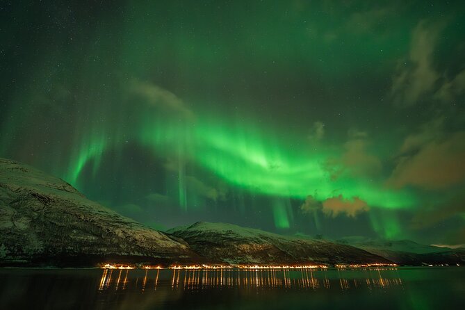 Tromsø: Northern Lights by Minibus - Free Photos and Warm Dinner - Guides and Drivers: The Human Part That Makes the Night Flow
