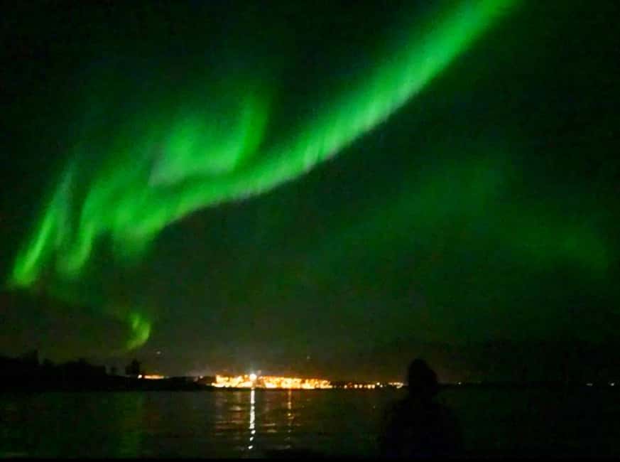 Tromsø: Northern Lights Chase — Small Group Experience - Key things to know before you go